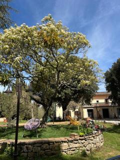 Villa Mucellena - Casole d'Elsa - 2