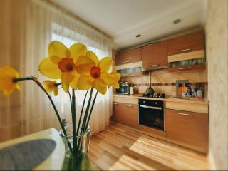 Dzenu Apartment - Riga - 7