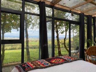 Sky gazer cabin in the woods - 4