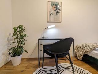 ViLiPa-Apartments No 4 - Terrasse nahe Zeisigwald - Chemnitz - 7