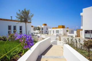 Villa Indigo Paphos - Paphos - 4