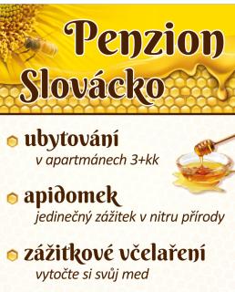 PENZION SLOVÁCKO - Ostrožská Nová Ves - 0
