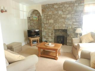 3 Prospect Place New Quay - New Quay - 9