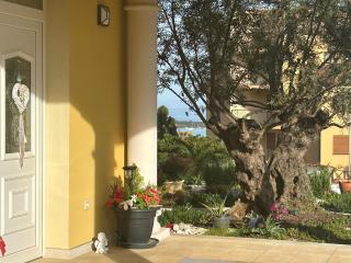 Villa Istriana - Ližnjan - 3