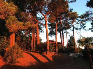 Grande villa avec jacuzzi à La Pointe aux Chevaux - FR-1-736-23 - 4