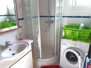 Villa lumineuse à 300m de la plage, 5min de l'océan en vélo, jardin et terrasse, proche commerces - FR-1-736-1 - Lège-Cap-Ferret - 3