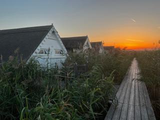 Seehütte Neusiedlersee - Seehaus inklusive Elektroboot - 5