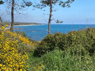 T2 VUE MER CORSE N193 - Linguizzetta - 2