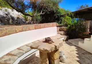 La Pajara del Trullo Vista Mare - Gagliano del Capo - 3