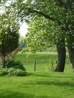 The Barn, Poplar Farm - York - 2