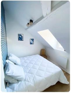 Le flamboyant - Angers - 2