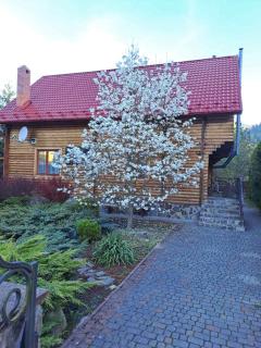 Magnolia - Tatariv - 8