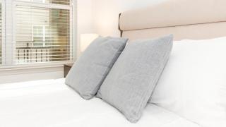 Landing at San Marco Promenade - 1 Bedroom in San Marco - Jacksonville - 1