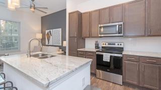 Landing at San Marco Promenade - 1 Bedroom in San Marco - Jacksonville - 5