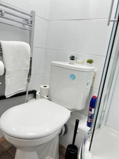 Charming Flat in Ealing - Ealing - 8