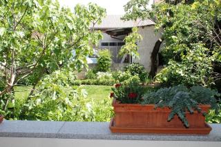 Ferienhof Weingut Lunzer - Gols - 7