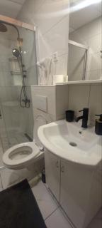 Apartman Mila 23 Vrnjačka Banja - 6