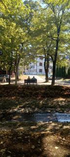 Apartman Mila 23 Vrnjačka Banja - 3