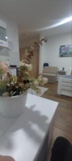 Apartman Mila 23 Vrnjačka Banja - 1