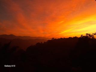 Woodshade Resort - Periya - 4