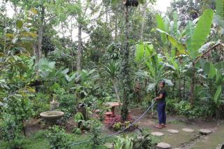 Jungle Joglo - Tampaksiring - 6