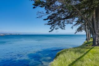 Charming Santa Cruz Studio with Private Hot Tub - Santa Cruz - 8