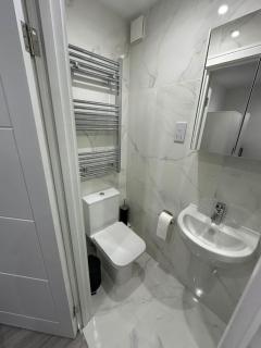 London Victoria 15 minutes away - Londres - 6