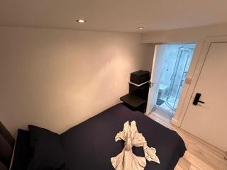 Central London Zone1 Room - Bath - 5