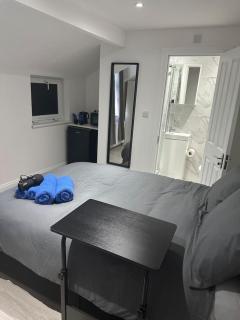 Central London- Zone 2 En-suite Room - London - 5