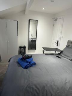 London Eye,Big Ben 10 mins away - 8