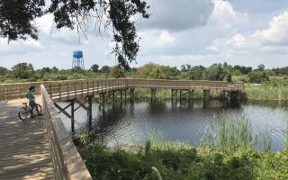Shoalwater 1206 - Orange Beach - 2