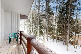 All-Season Chalet - Park City - 8