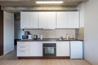 Apartment Accent by Polo Apartments - Kaunas - 4