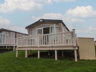 47 The Drake Forgetmeknot - Scarborough - 0
