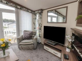 47 The Drake Forgetmeknot - 7