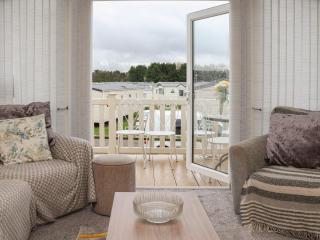 47 The Drake Forgetmeknot - 8