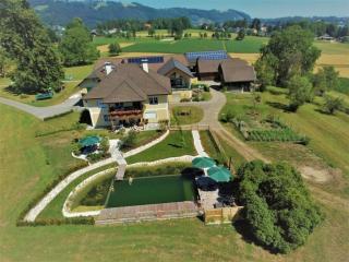 Appartement In Altmünster Am Traunsee Mit Panoramablick - 8