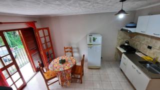 Ofelia, departamento en Alta Gracia. - 5