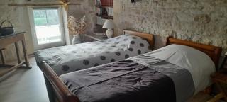 MARAIS POITEVIN bord rivière pêche ,barque, vélos, wifi, linge, cheminée, cuisine, terrain de boules - 2