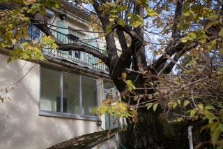 Gîte Le Tilleul - Calme et lumineux - 2 à 4 pers - 1