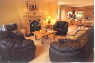 Holiday Home with view of Kenmare Bay Estuary - Kenmare - 5