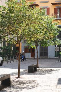 NapArt - Naples - 2