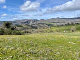 Podere Casagrande - Roccalbegna - 0