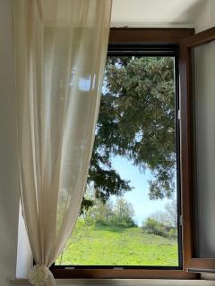 Podere Casagrande - Roccalbegna - 6