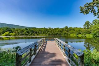Modern decor, Hot Tub, Fire Pit & River Access! - Luray - 5