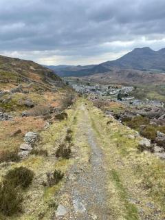 Pen-Y-Bryn Cottage - 7