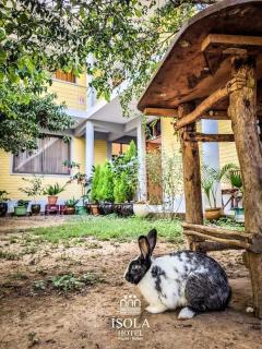 Hotel Isola - Aiquile - 4