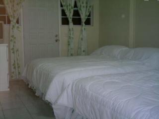 Hilltop View Guesthouse - Castries - 6