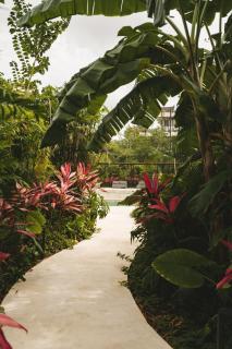 Gorgeous Loft with Gym, Pools and Rooftop Terrace - Tulum - 4