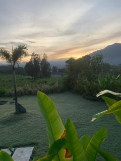 Bali Lesung - Kintamani - 9